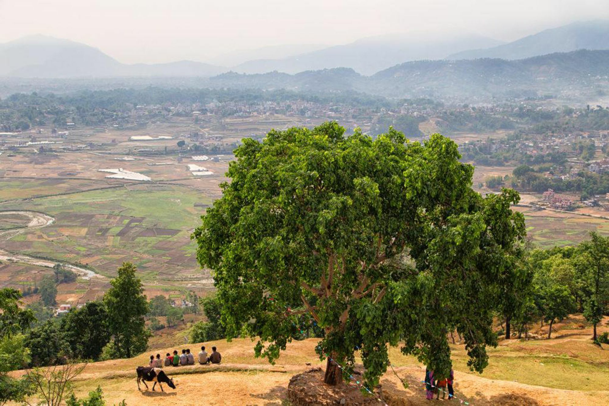 Star View Guest House Bhaktapur Bagian luar foto